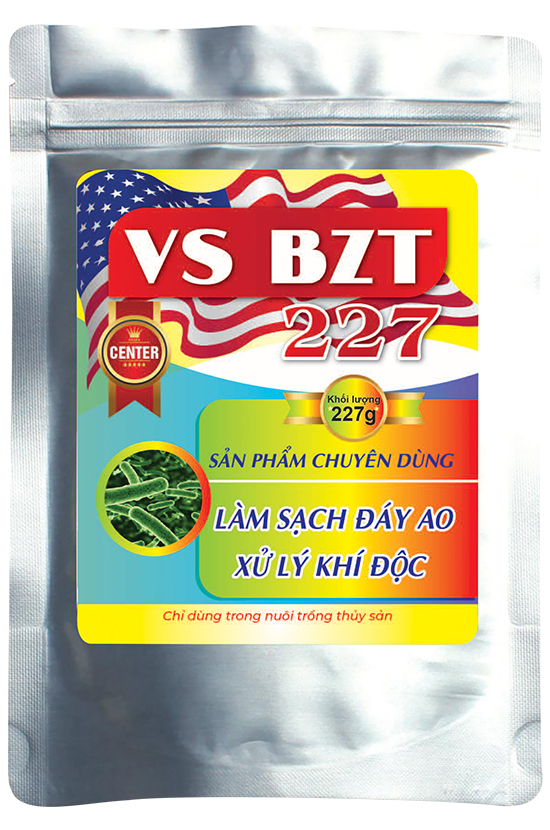 VS BZT 227